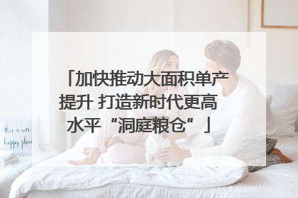 加快推动大面积单产提升 打造新时代更高水平“洞庭粮仓”