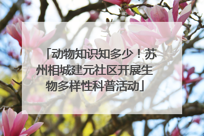 动物知识知多少！苏州相城建元社区开展生物多样性科普活动