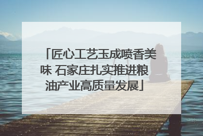 匠心工艺玉成喷香美味 石家庄扎实推进粮油产业高质量发展