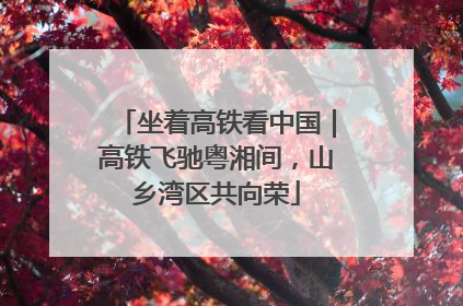 坐着高铁看中国｜高铁飞驰粤湘间，山乡湾区共向荣