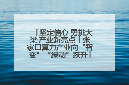 坚定信心 勇挑大梁·产业新亮点丨张家口算力产业向“智变”“绿动”跃升