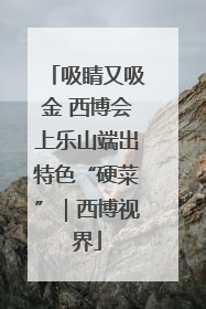 吸睛又吸金 西博会上乐山端出特色“硬菜”｜西博视界
