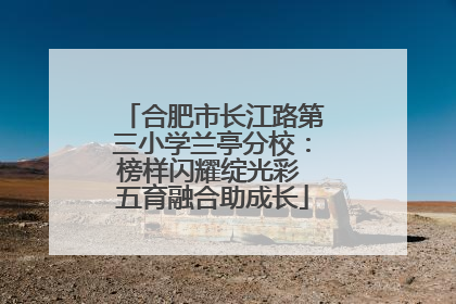 合肥市长江路第三小学兰亭分校：榜样闪耀绽光彩 五育融合助成长