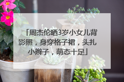 周杰伦晒3岁小女儿背影照，身穿格子裙，头扎小辫子，萌态十足