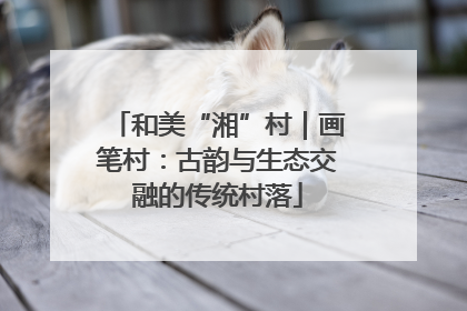 和美“湘”村｜画笔村：古韵与生态交融的传统村落