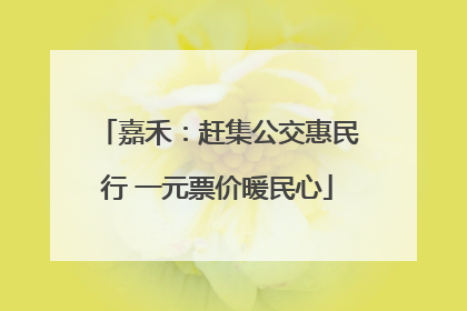 嘉禾：赶集公交惠民行 一元票价暖民心
