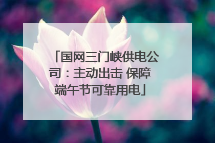 国网三门峡供电公司：主动出击 保障端午节可靠用电
