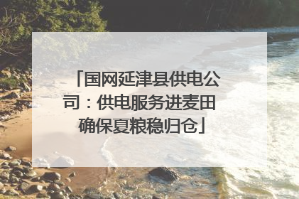 国网延津县供电公司：供电服务进麦田 确保夏粮稳归仓
