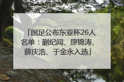 国足公布东亚杯26人名单：蒯纪闻、廖锦涛、薛庆浩、于金永入选