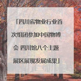 四川省物业行业首次组团参加中国物博会 四川馆八个主题展区展现发展成果