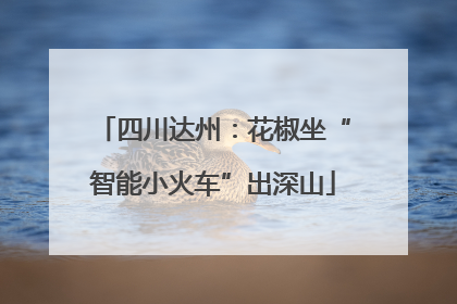 四川达州：花椒坐“智能小火车”出深山
