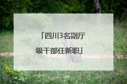 四川3名副厅级干部任新职