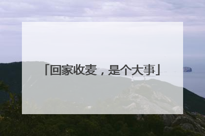 回家收麦，是个大事