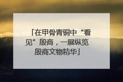 在甲骨青铜中“看见”殷商，一展纵览殷商文物精华