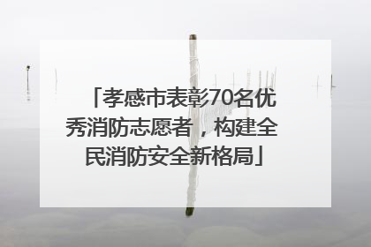 孝感市表彰70名优秀消防志愿者，构建全民消防安全新格局