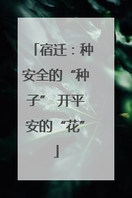 宿迁：种安全的“种子” 开平安的“花”