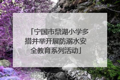 宁国市鼎湖小学多措并举开展防溺水安全教育系列活动