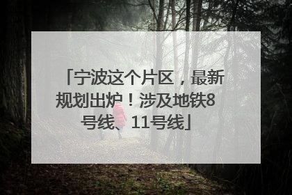 宁波这个片区，最新规划出炉！涉及地铁8号线、11号线