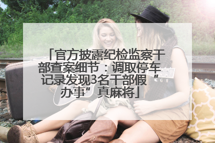 官方披露纪检监察干部查案细节：调取停车记录发现3名干部假“办事”真麻将