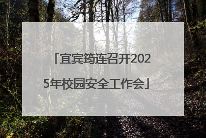 宜宾筠连召开2025年校园安全工作会