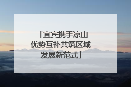 宜宾携手凉山 优势互补共筑区域发展新范式