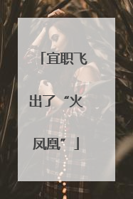 宜职飞出了“火凤凰”