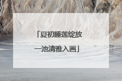 夏初睡莲绽放 一池清雅入画