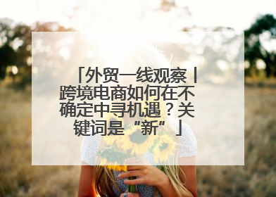 外贸一线观察丨跨境电商如何在不确定中寻机遇？关键词是“新”