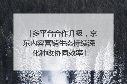 多平台合作升级，京东内容营销生态持续深化种收协同效率