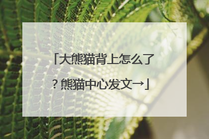 大熊猫背上怎么了？熊猫中心发文→