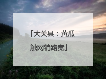 大关县：黄瓜触网销路宽