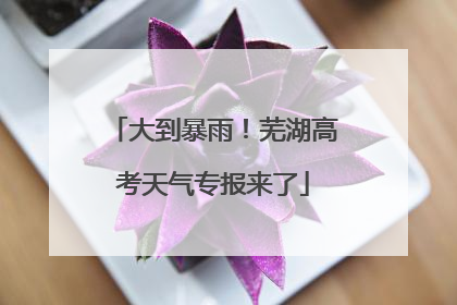 大到暴雨！芜湖高考天气专报来了