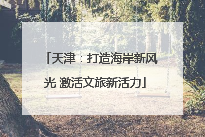 天津：打造海岸新风光 激活文旅新活力