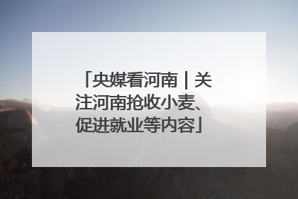 央媒看河南｜关注河南抢收小麦、促进就业等内容