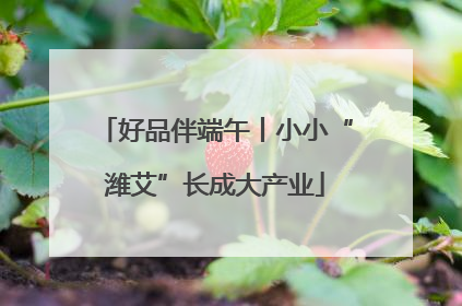 好品伴端午丨小小“潍艾”长成大产业