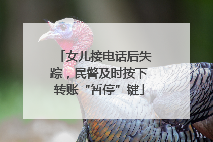 女儿接电话后失踪，民警及时按下转账“暂停”键