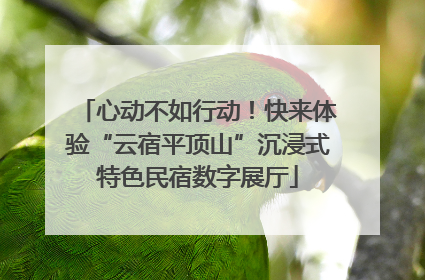 心动不如行动！快来体验“云宿平顶山”沉浸式特色民宿数字展厅