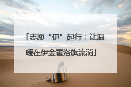 志愿“伊”起行：让温暖在伊金霍洛旗流淌