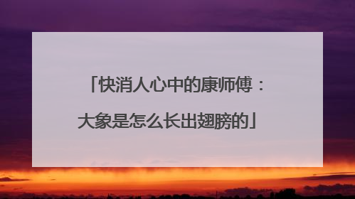 快消人心中的康师傅：大象是怎么长出翅膀的