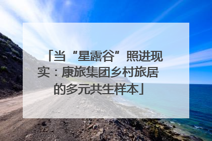 当“星露谷”照进现实：康旅集团乡村旅居的多元共生样本