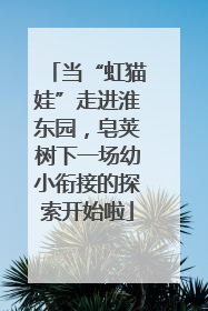 当“虹猫娃”走进淮东园，皂荚树下一场幼小衔接的探索开始啦