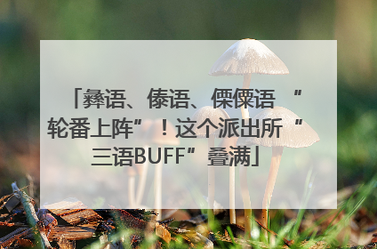 彝语、傣语、傈僳语 “轮番上阵”！这个派出所“三语BUFF”叠满