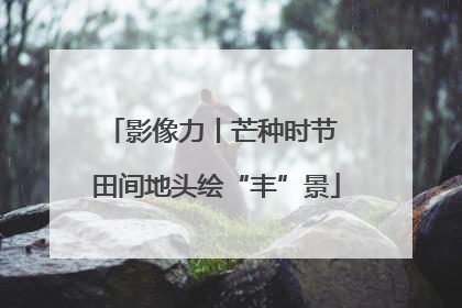 影像力丨芒种时节 田间地头绘“丰”景