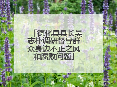 德化县县长吴志朴调研督导群众身边不正之风和腐败问题