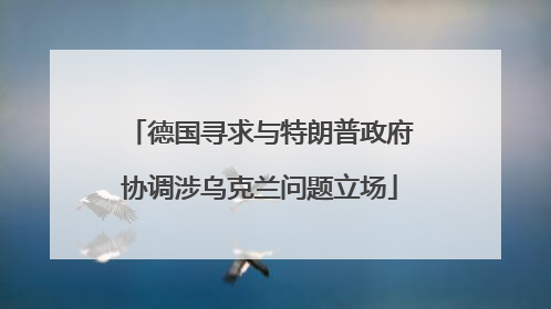 德国寻求与特朗普政府协调涉乌克兰问题立场