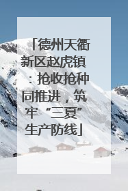 德州天衢新区赵虎镇：抢收抢种同推进，筑牢“三夏”生产防线