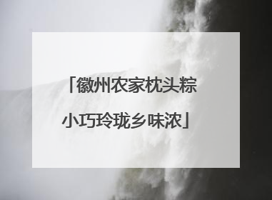 徽州农家枕头粽 小巧玲珑乡味浓