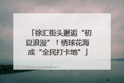 徐汇街头邂逅“初夏浪漫”！绣球花海成“全民打卡地”