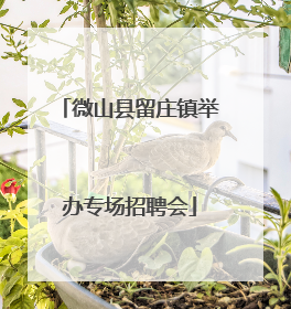 微山县留庄镇举办专场招聘会