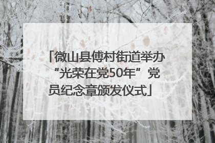 微山县傅村街道举办“光荣在党50年”党员纪念章颁发仪式